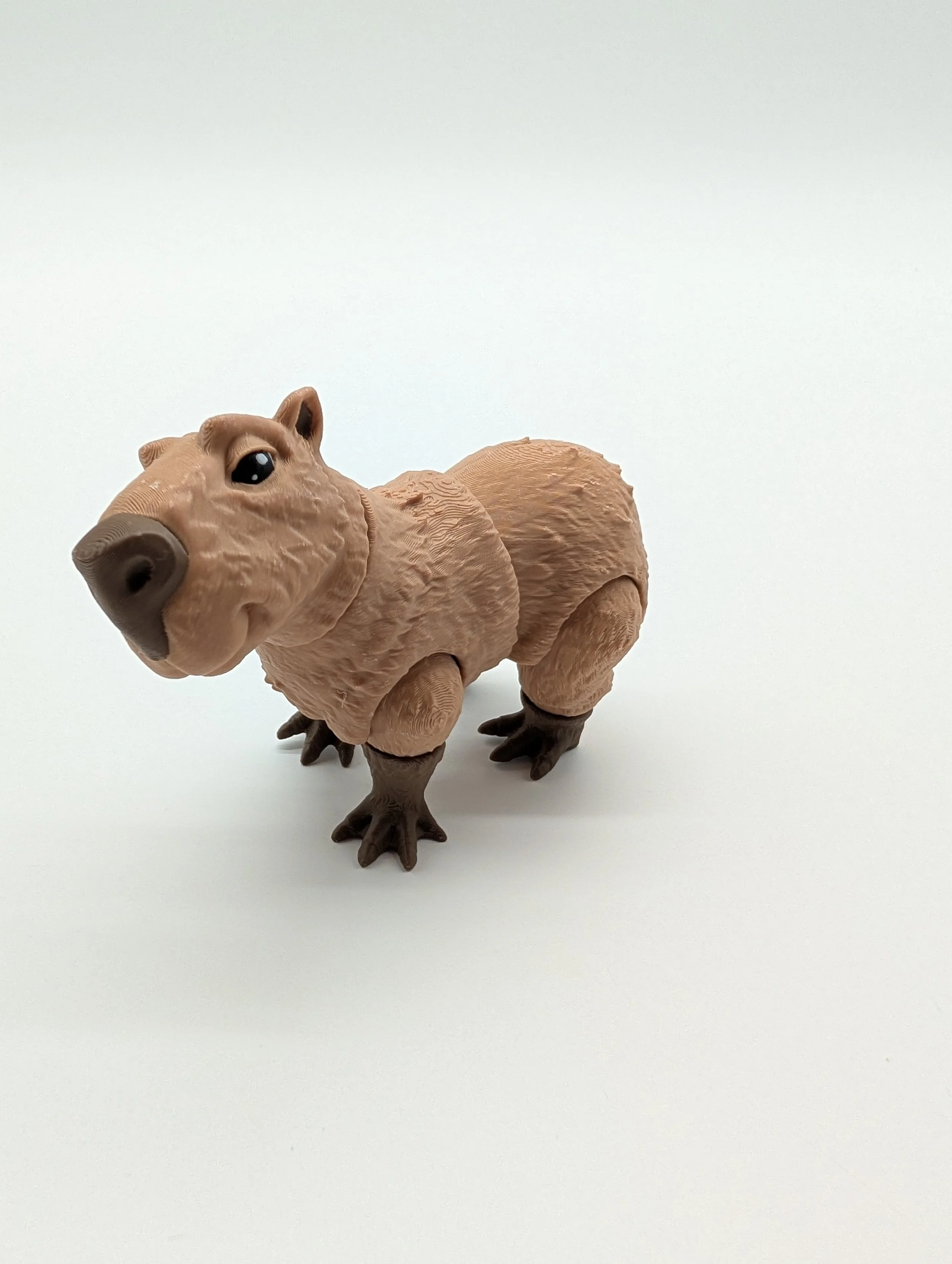 Capybara - $10 - LSR0003