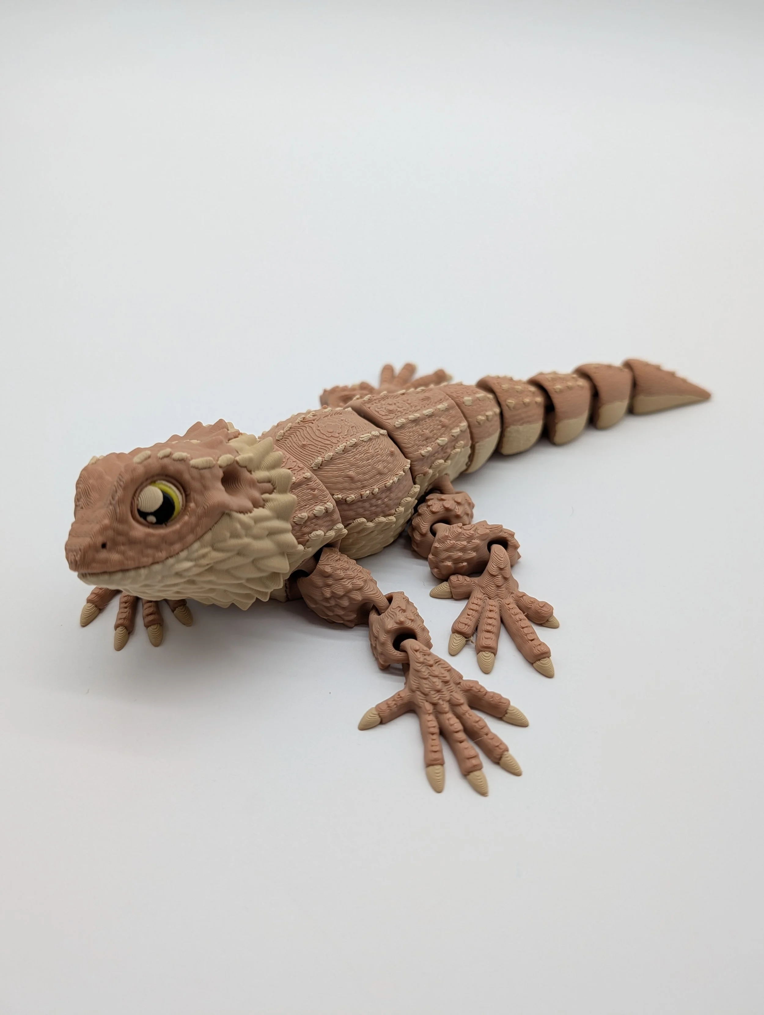 Bearded Dragon - $15 - LSR0001