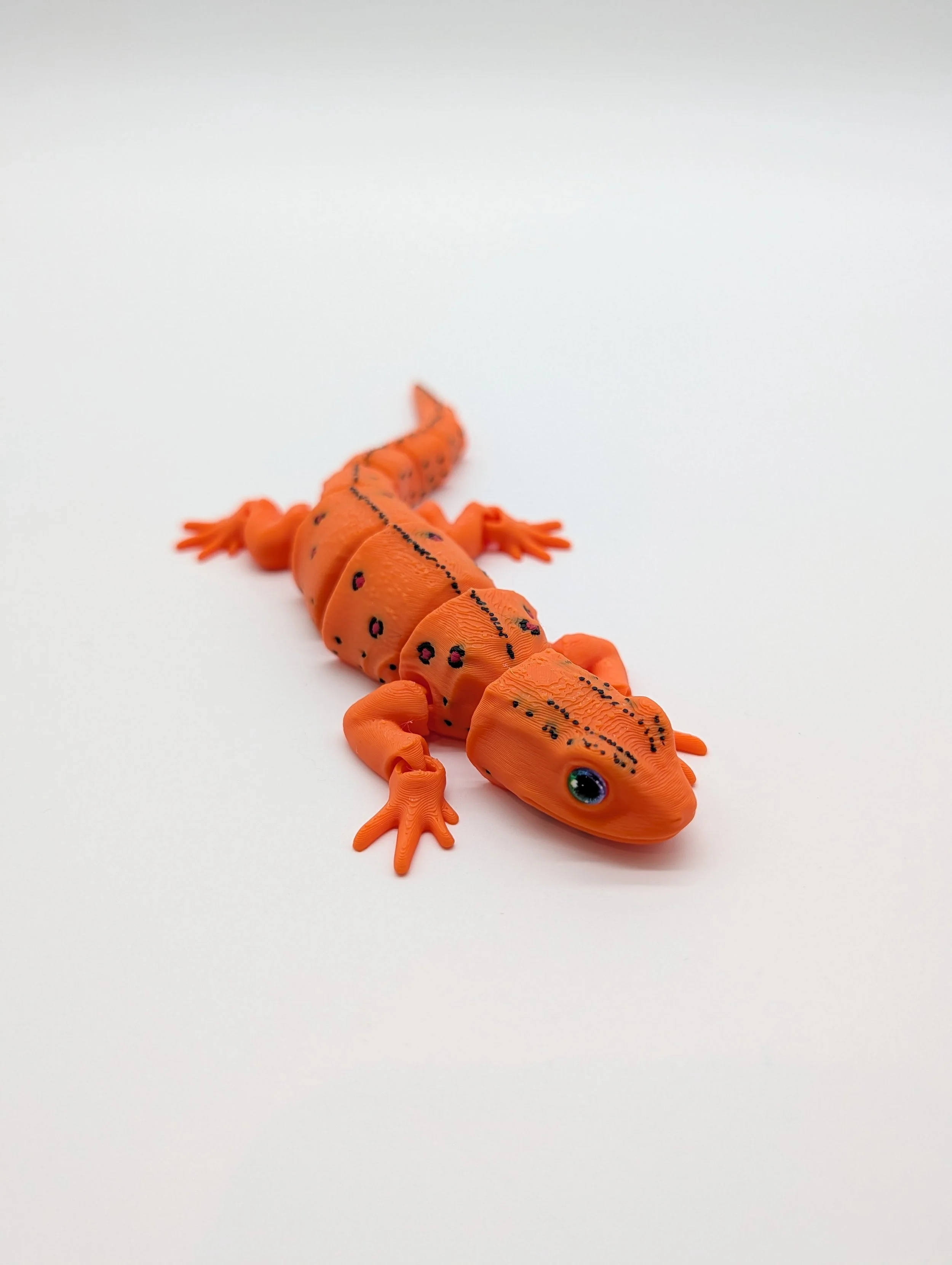 Red Spotted Newt - Retail $15 - LR0017