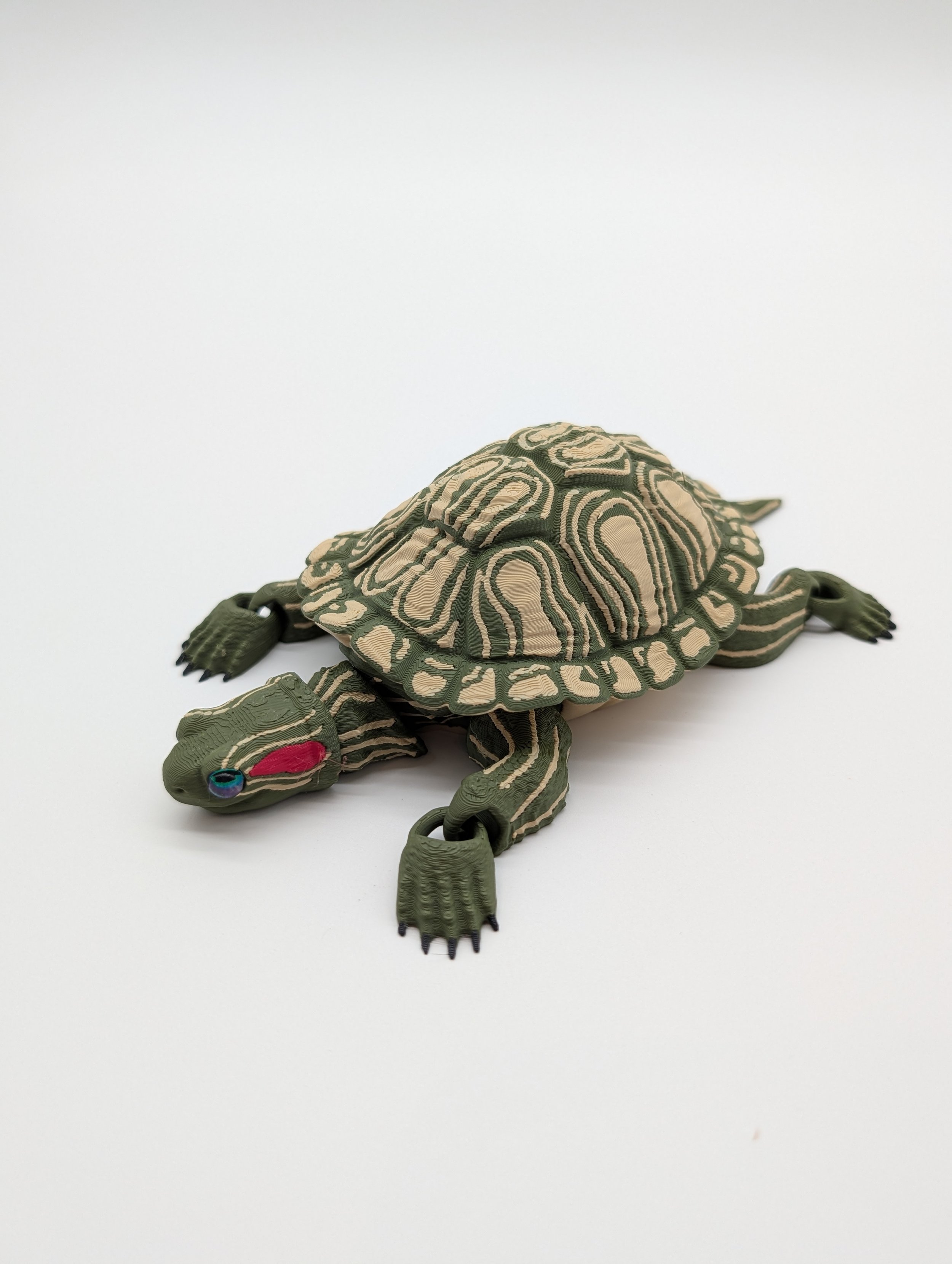 Red Eared Slider - Retail $20 - SKU LR0010
