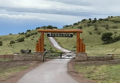 Custom gate with Log Wood Arch and masonry