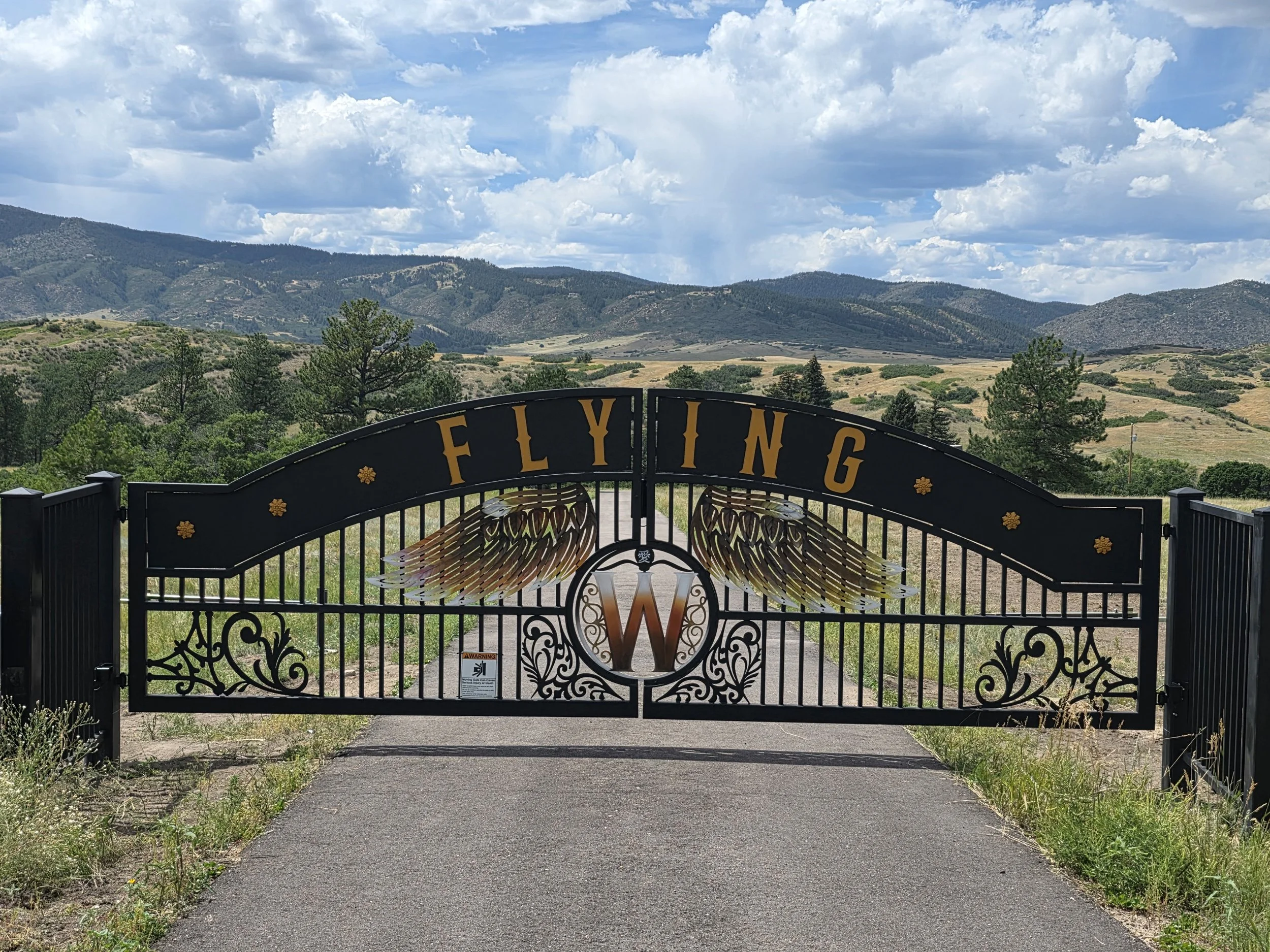 Custom gate with airbrush graphics.