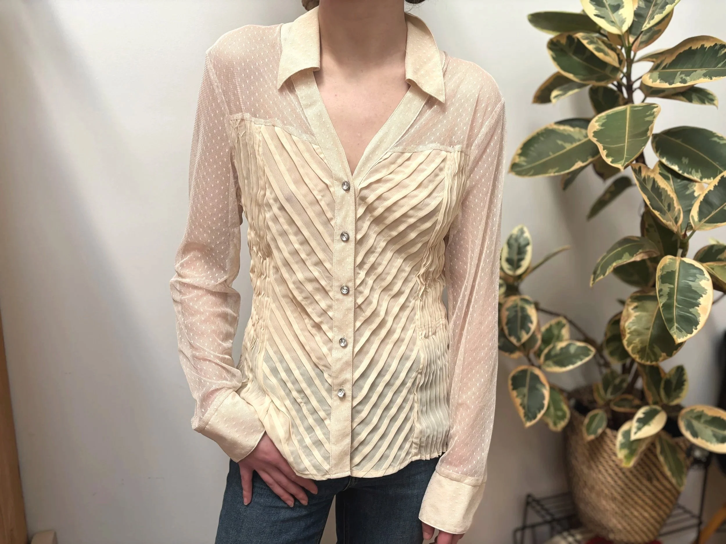 the kassandra sheer blouse
