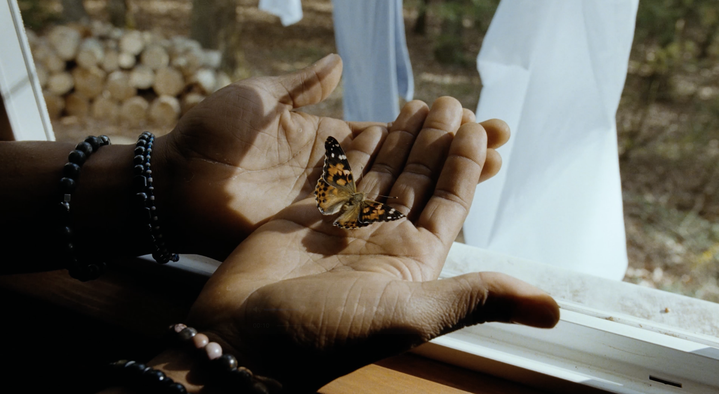 Screenshot 2025-01-03 at 9.46.34 AM.png