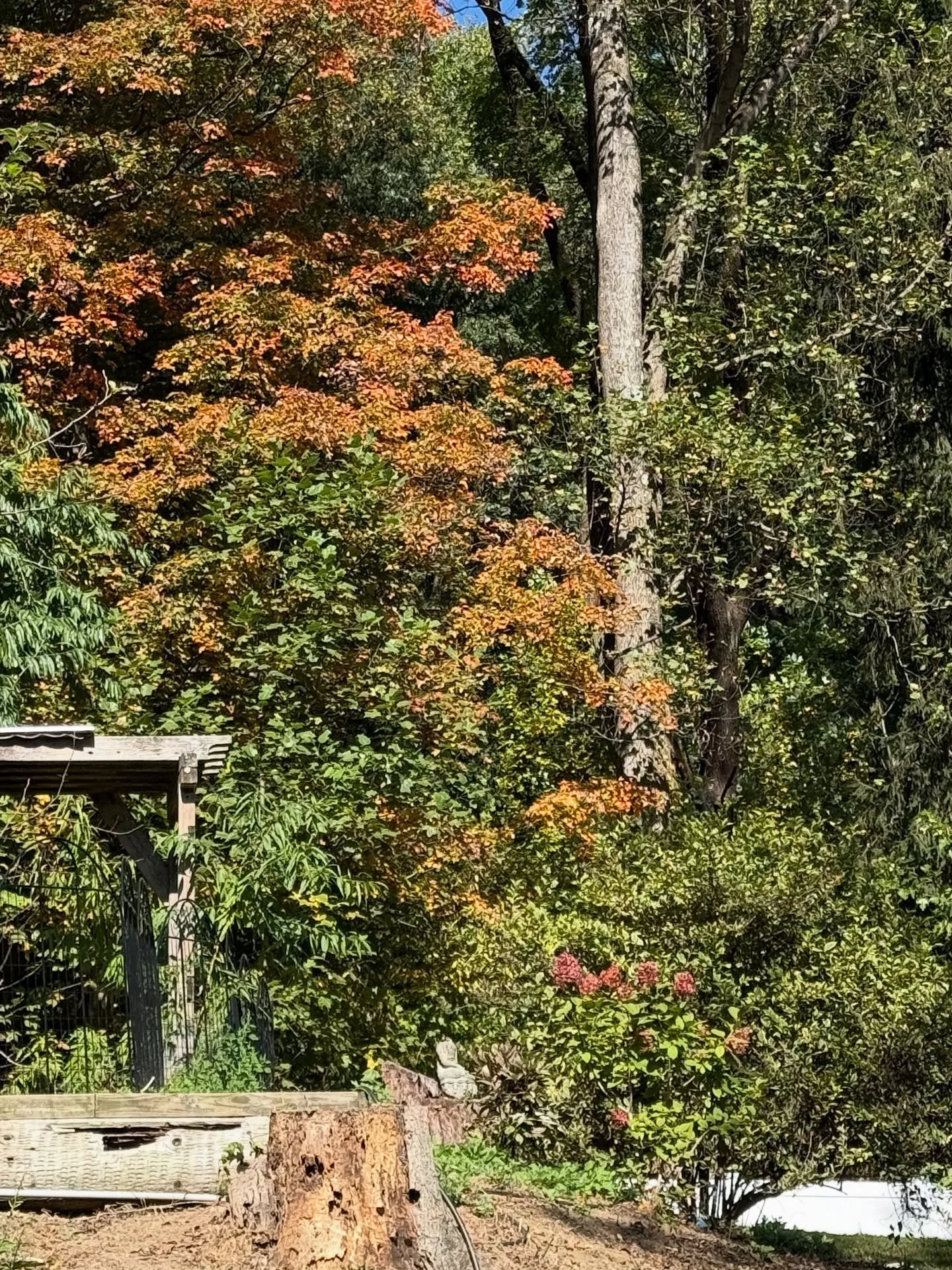 I love fall