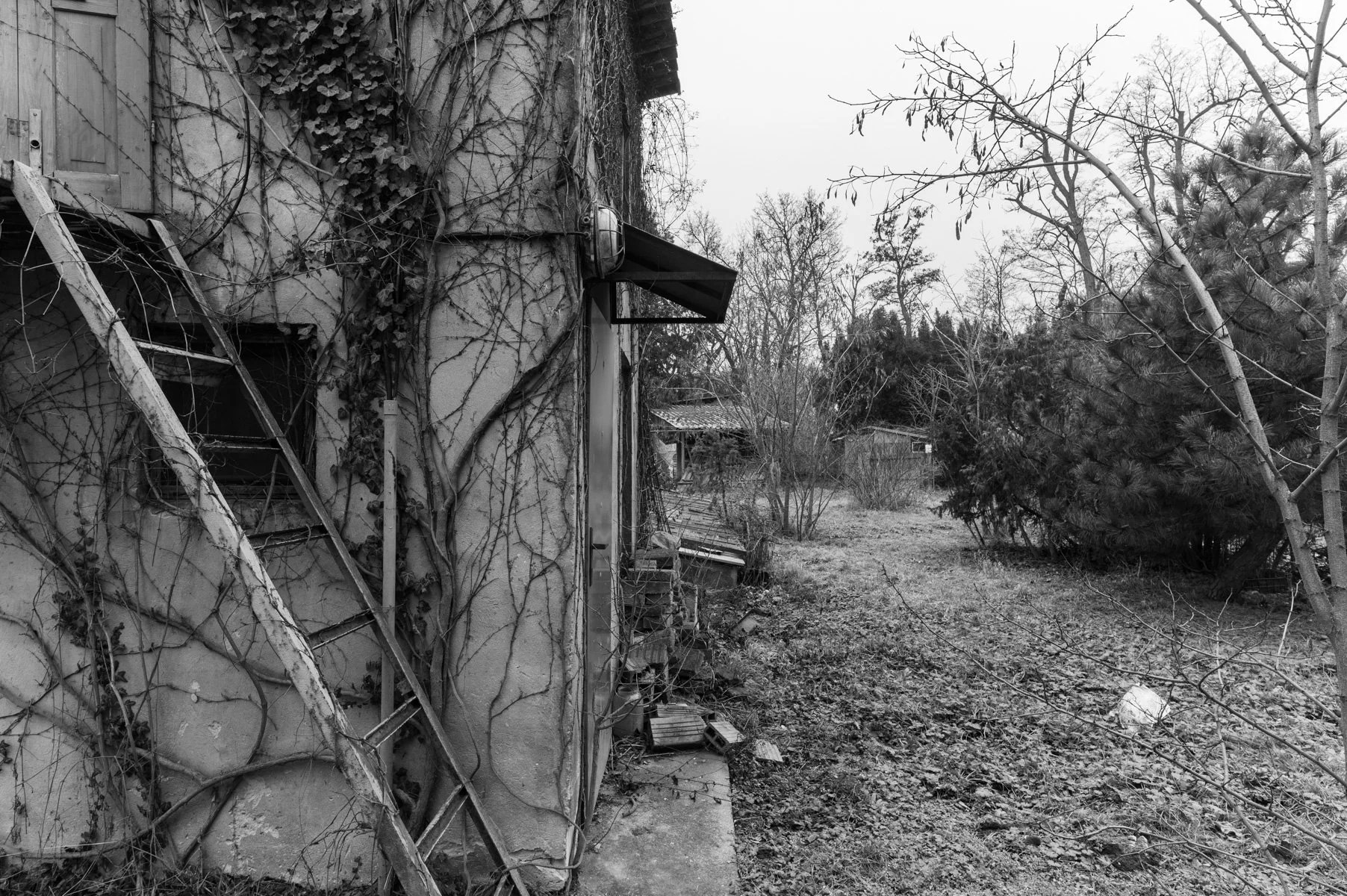 Loucen-continuo_Tomas-Beran_DSC_4137.jpg