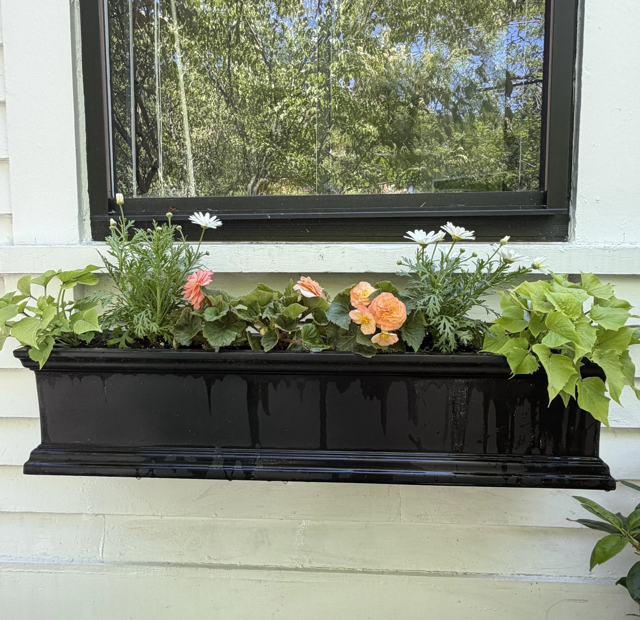 Window box design and installation in Rhode Island