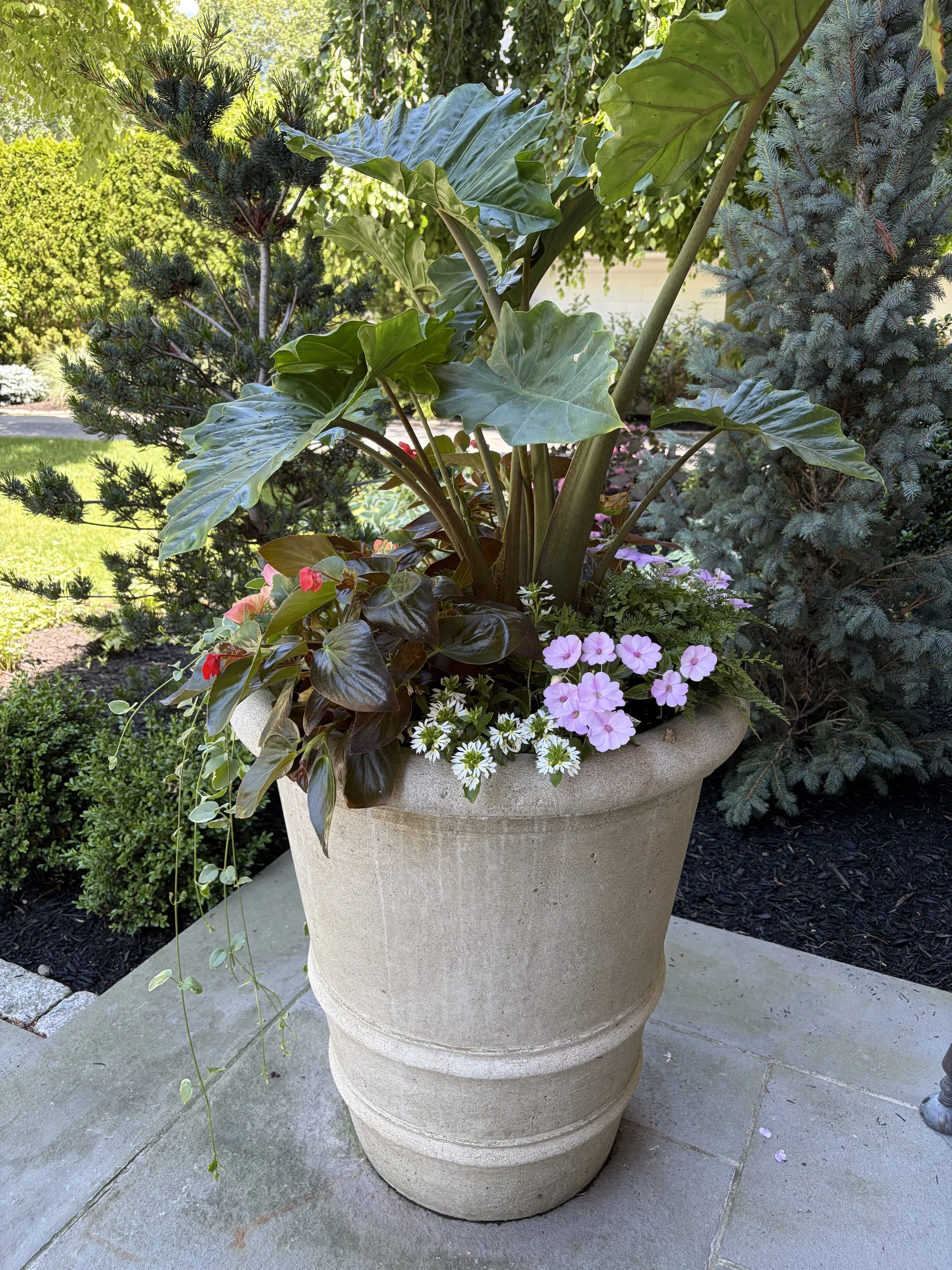 Private residential entrance planters in Providence