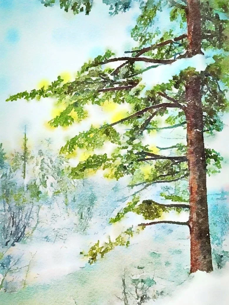 Autumn Colours: Capturing the Beauty of Trees, 17 Oct 2026