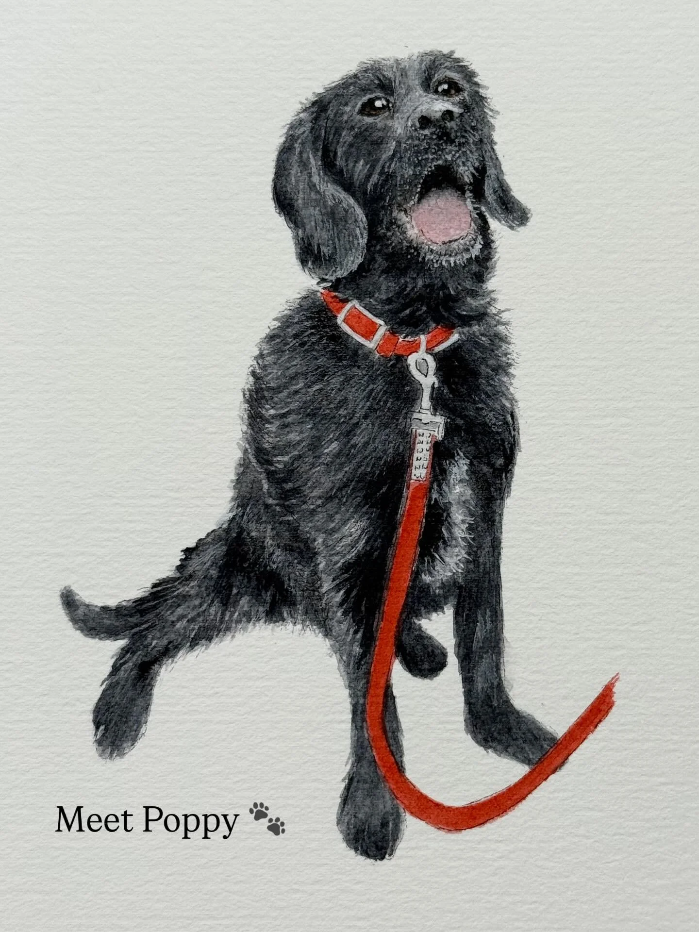 Meet Poppy 🐾 A gorgeous girl I had the pleasure of illustrating in a cute A6 size for an Etsy customer this week! I’m enjoying offering bespoke illustrations on Etsy as I never know where they’ll end up – it’s so nice to be b