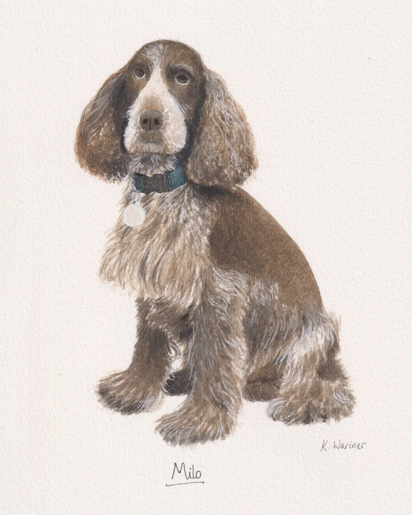 Meet Milo 🐾 

This handsome boy was a pleasure to illustrate as an A5 pet portrait Christmas commission - from those soulful eyes to those fluffy ears, every detail was a joy to bring to life!

Custom pet portraits make the most meaningful gifts 🤍
