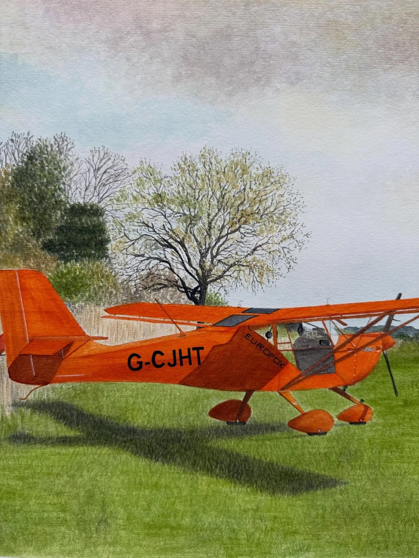 So&hellip; I paint planes now! 🤩

A very different subject to my usual, but I absolutely loved working on this one.

An A3 watercolour commission of a client&rsquo;s pride and joy &ndash; the very awesome Tango &ndash; with that pop of bright orange