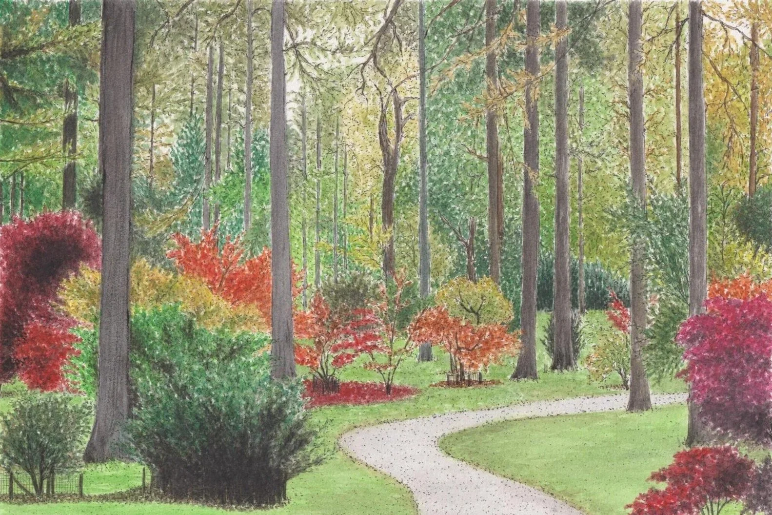 Autumn Colours: Capturing the Beauty of Trees, 17 Oct 2026