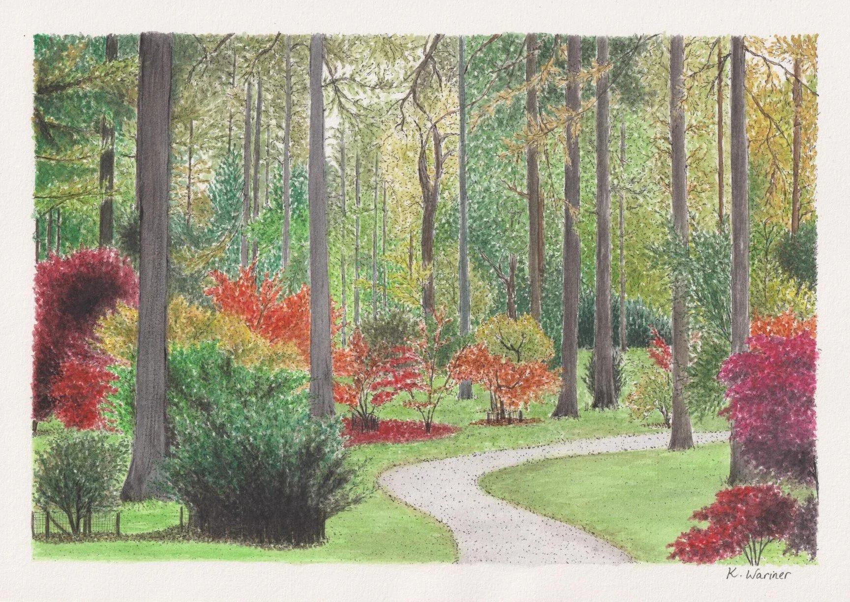 Scan - Westonbirt Arboretum - small file size.jpg