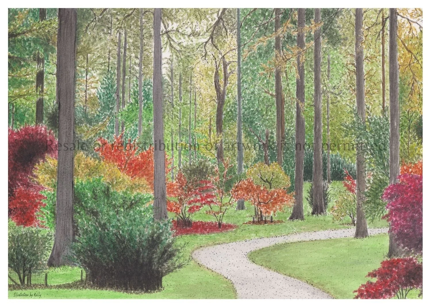 Etsy - Westonbirt Arboretum A4 Art Print, Front.jpg