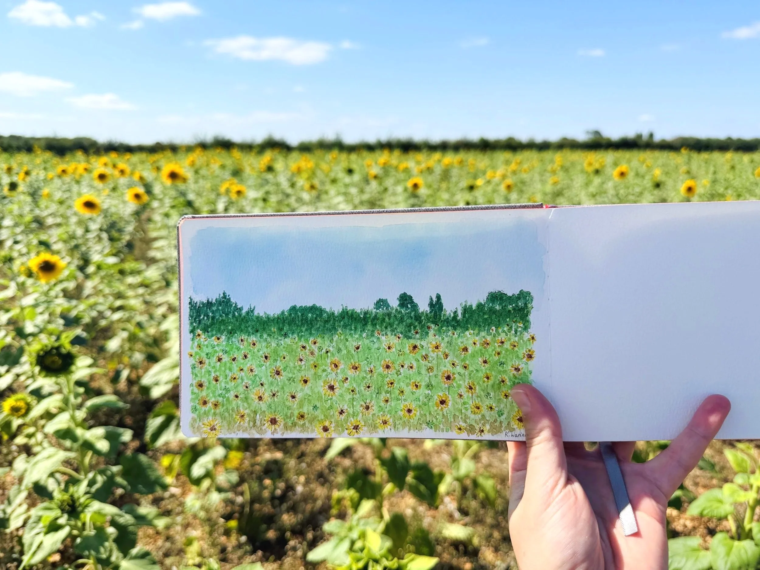 Person holding a painting of a sunflower field in front of a real sunflower field under a blue sky.
