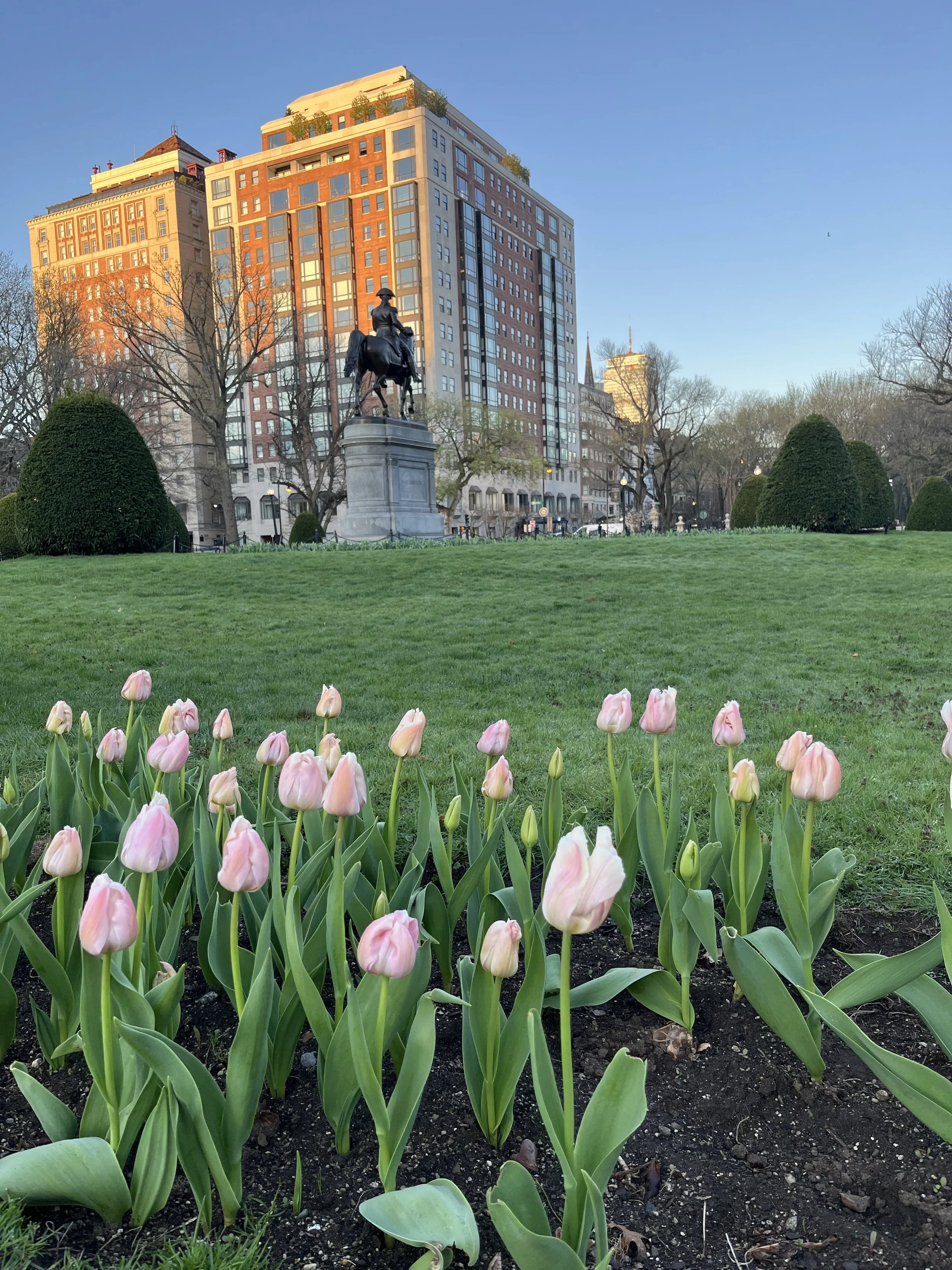 Boston for Beginners: A rookie’s take on Boston’s must-sees (and must-eats)