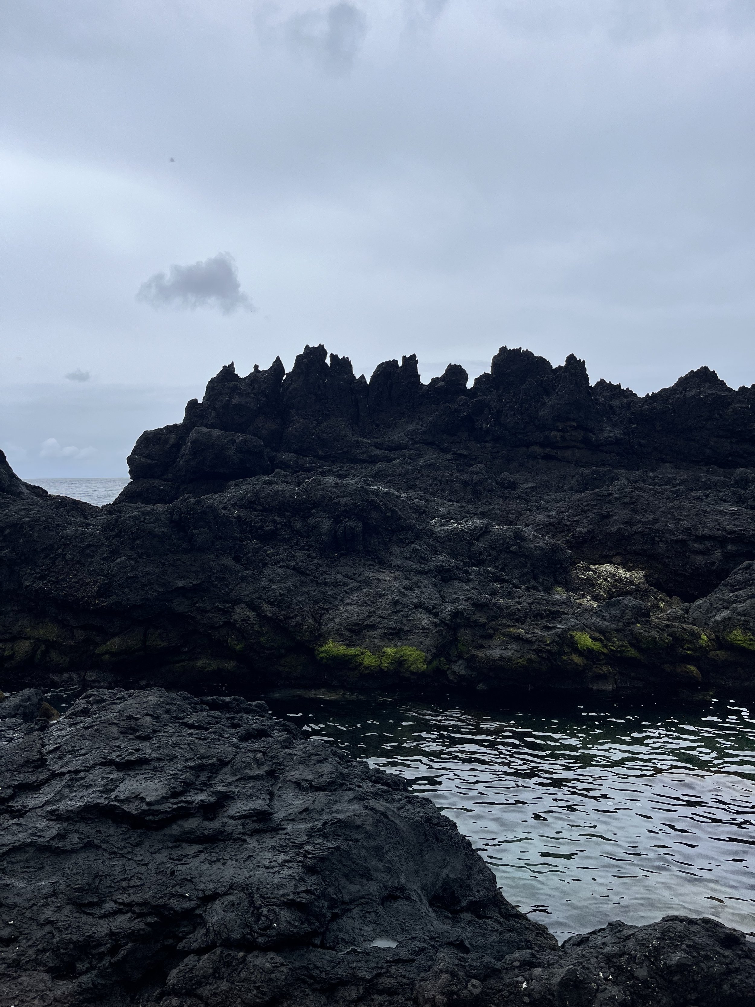 IMG_1249.jpeg