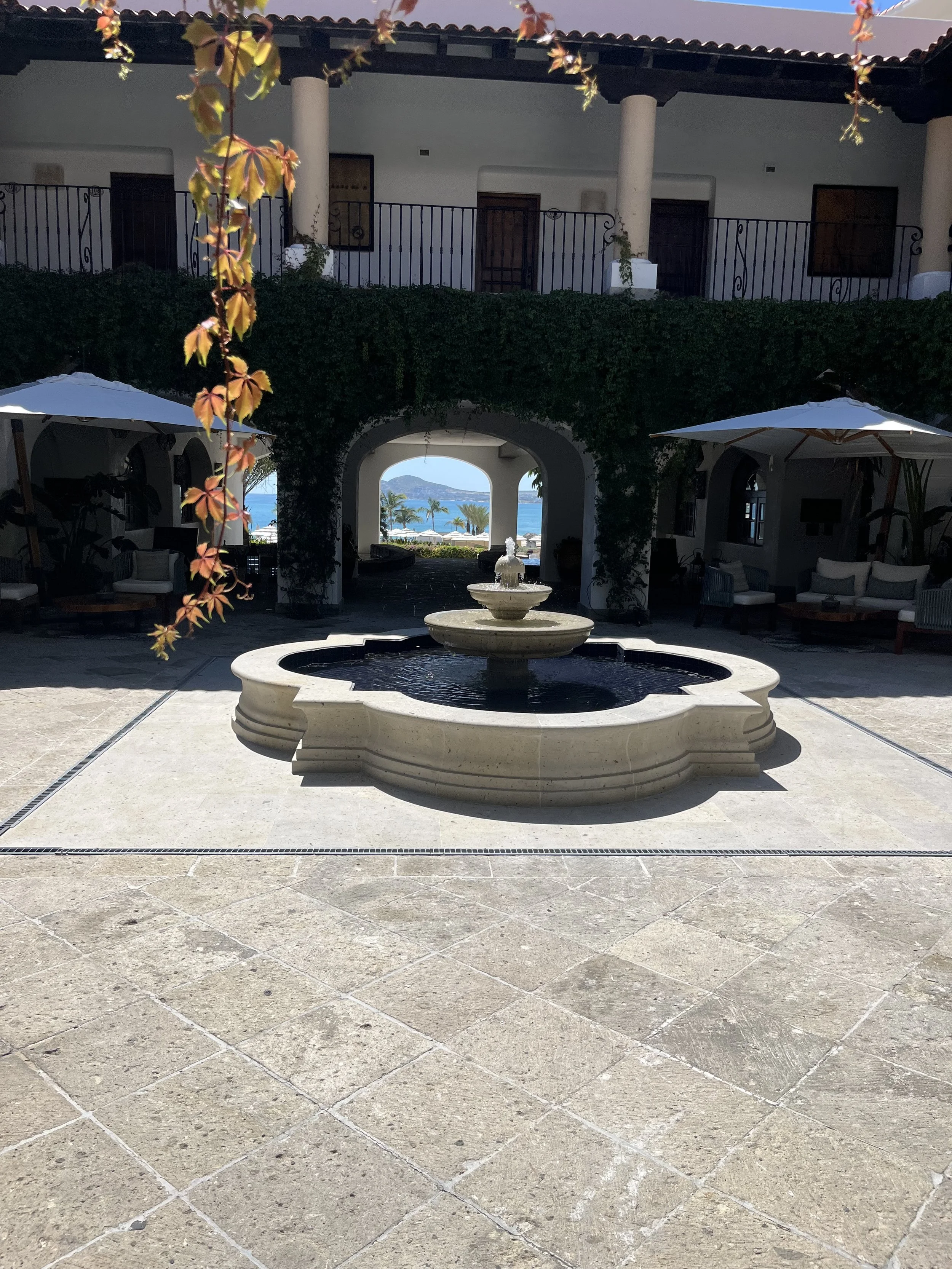 IMG_2304.jpeg