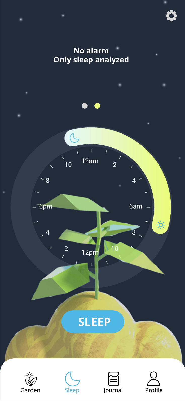 Sleep Timer