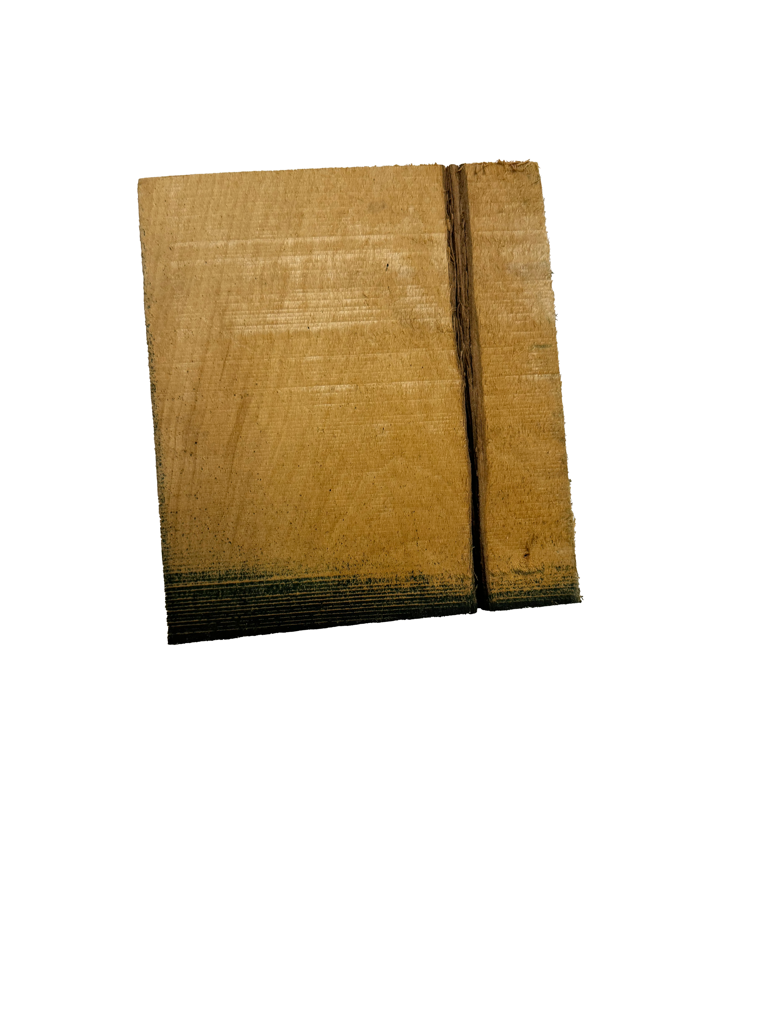 IMG_6488.png