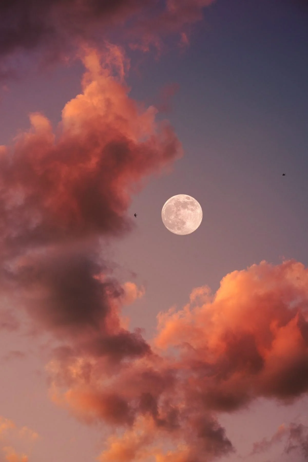 Full Moon Meditation with Christian | $20