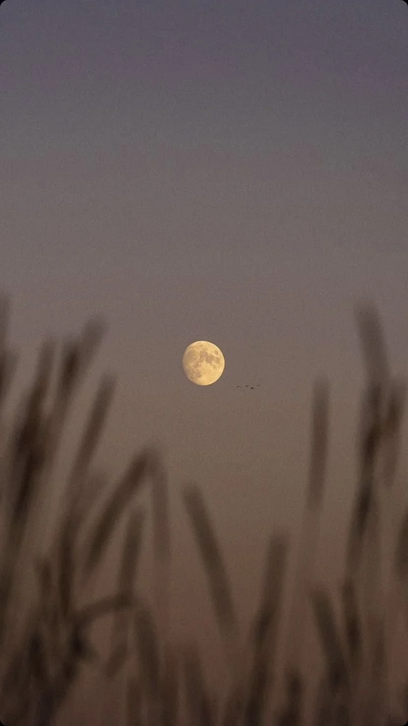 Full Moon Meditation | $20
