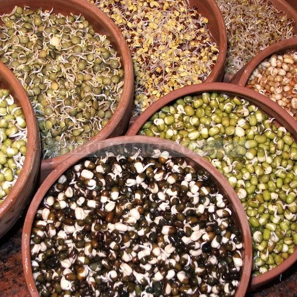The Art of Sprouting & Whole Bean Cuisine with Manjula | $45