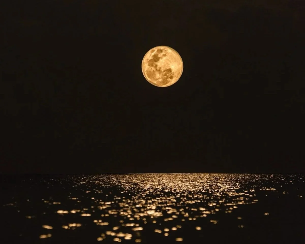 Full Moon Meditation | Moon of Remembering Waters with Tammie Fairchild | $20 