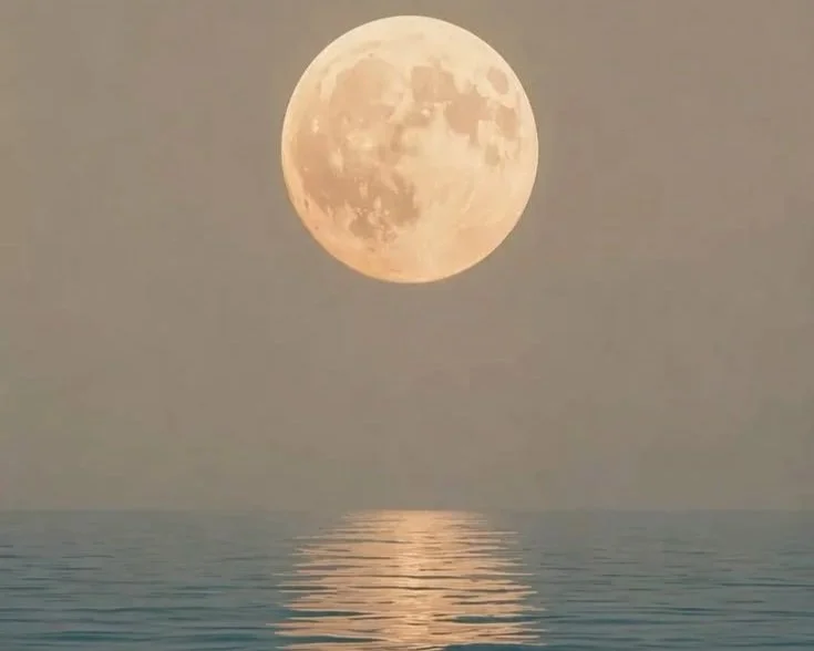 Full Moon in Pisces | Moon of Divine Surrender | $20