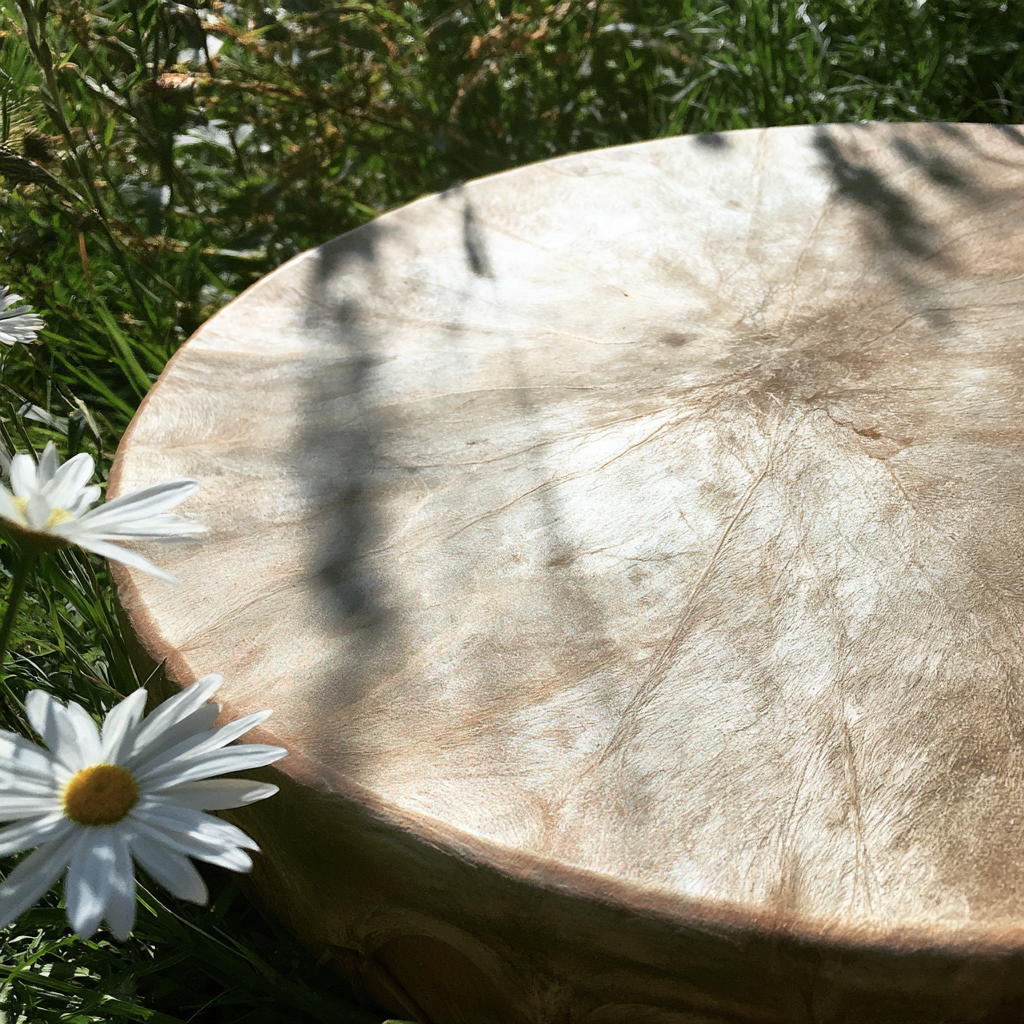 Shamanic Renewal Session with Zion | $45