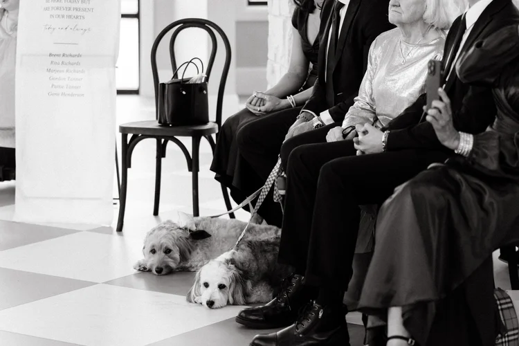 Bryce & Alexis wedding at The Oz — photo 44