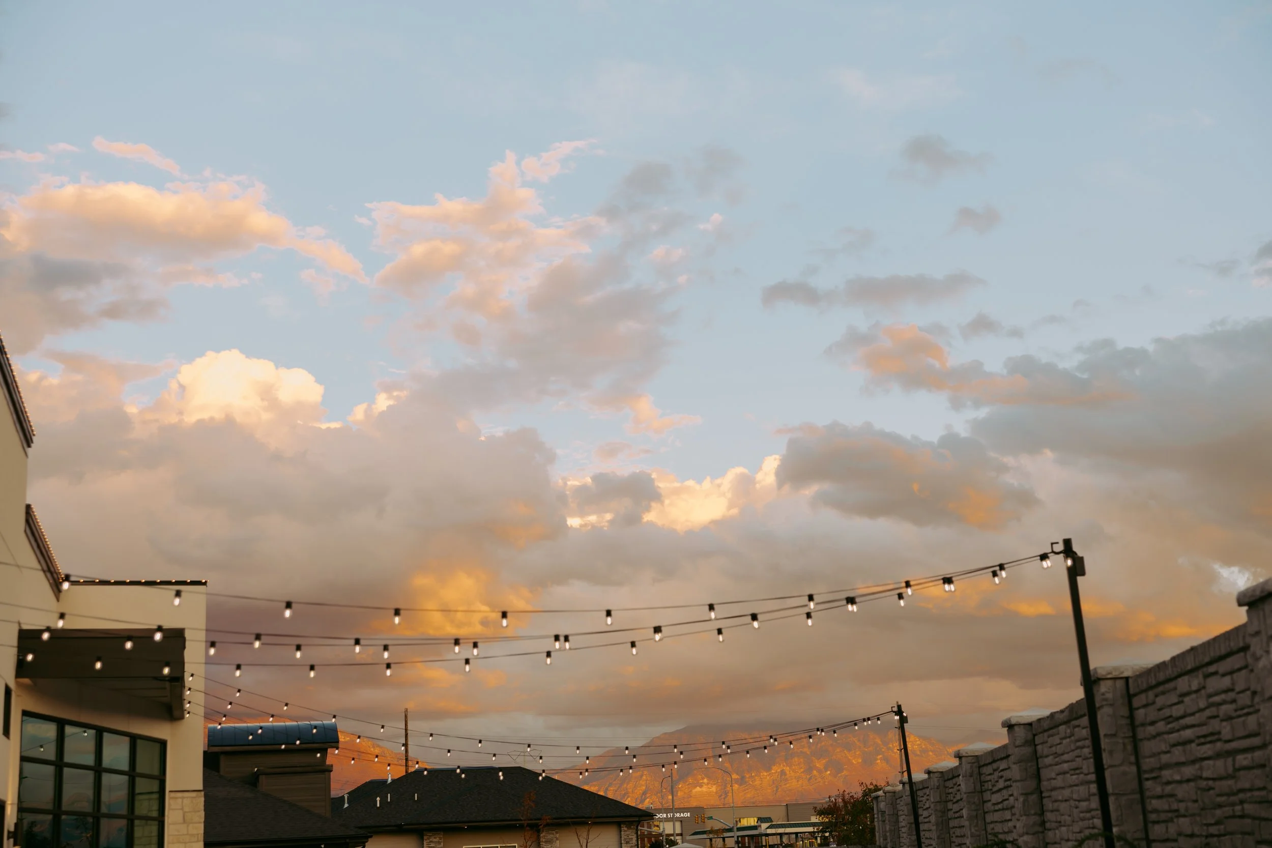 493A5996.jpg