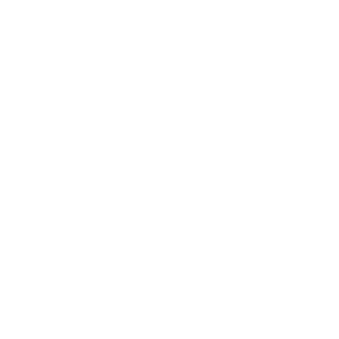 holistic.png