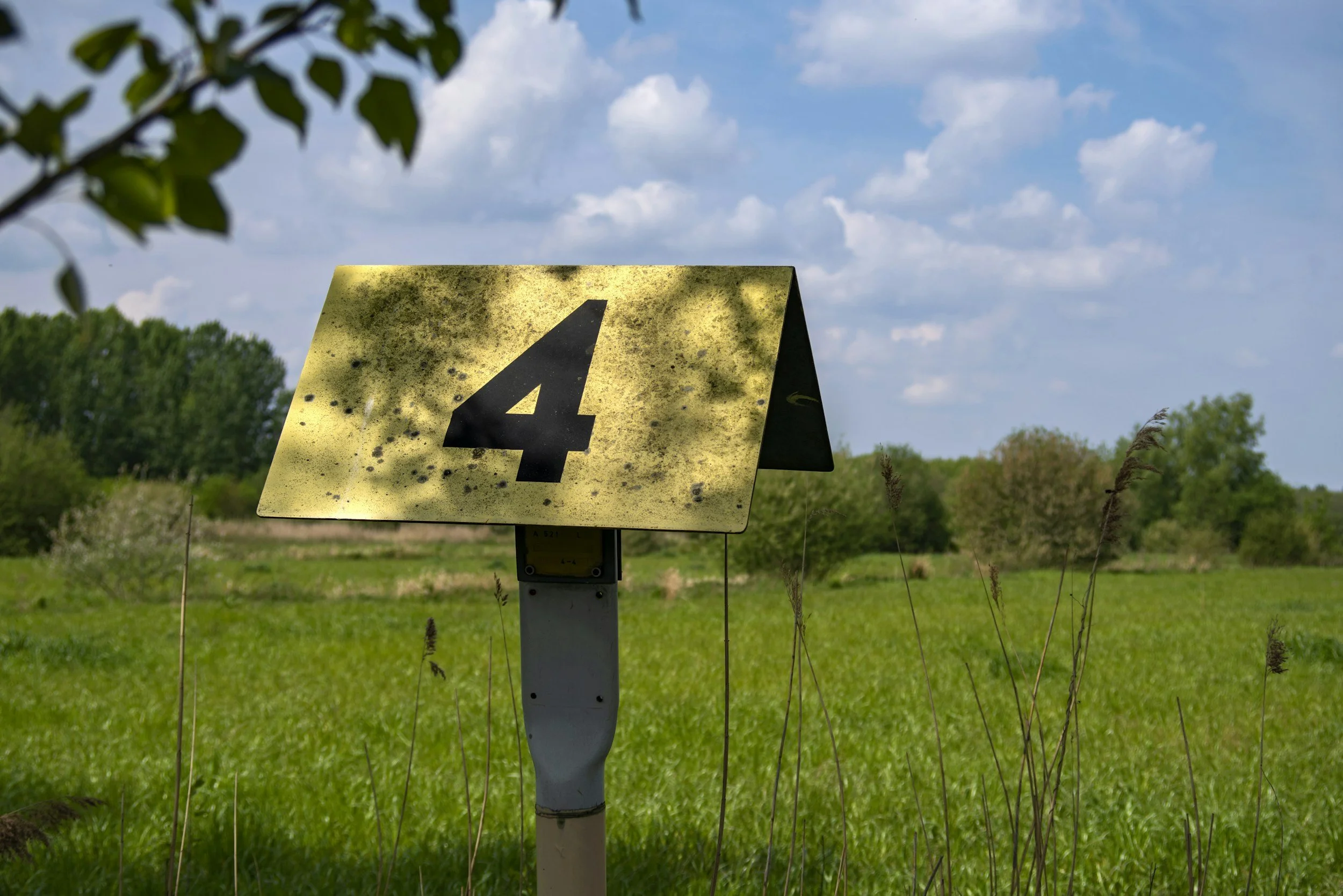 4