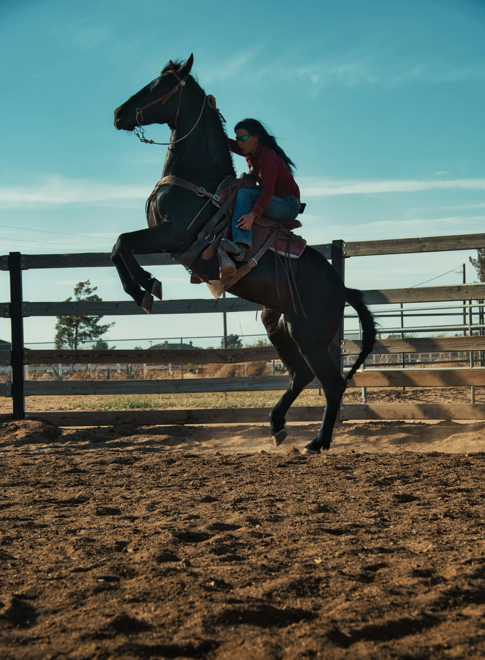 Horse