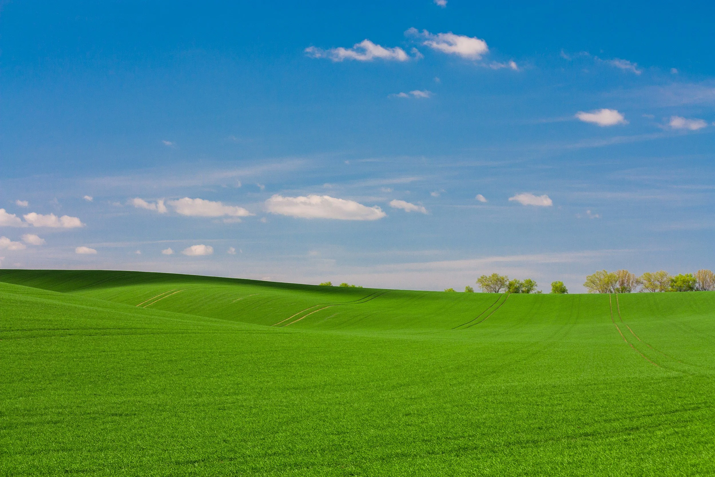 Verde primavera