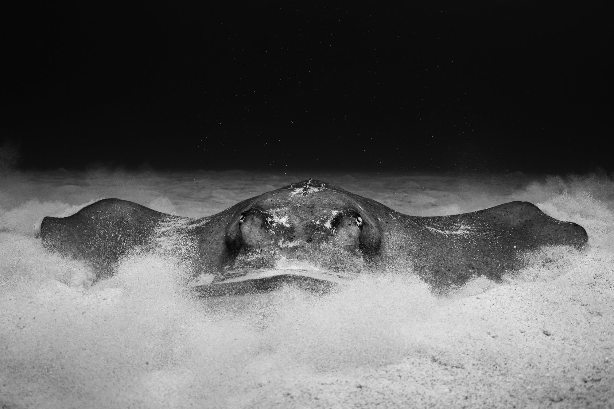 Sand Landing Cynthia Ariosta Into The Wild-1.jpg