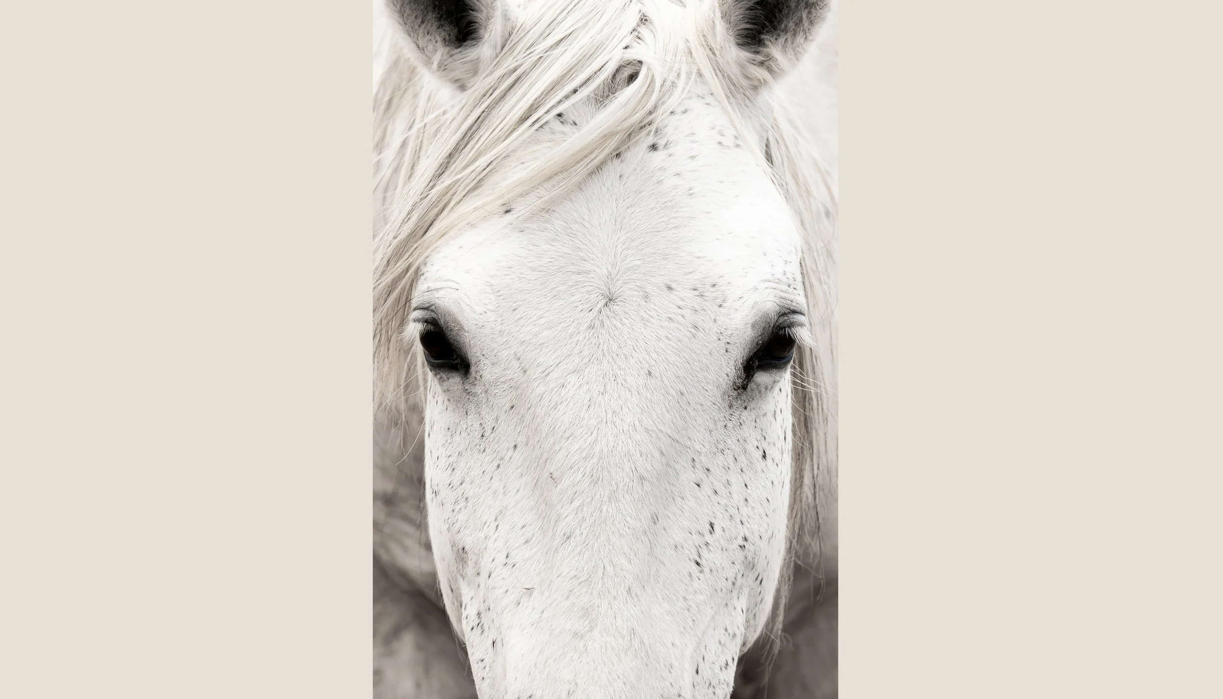 Caballo Blanco Website_Into The Wild Imagery_Cynthia Ariosta-1.jpg