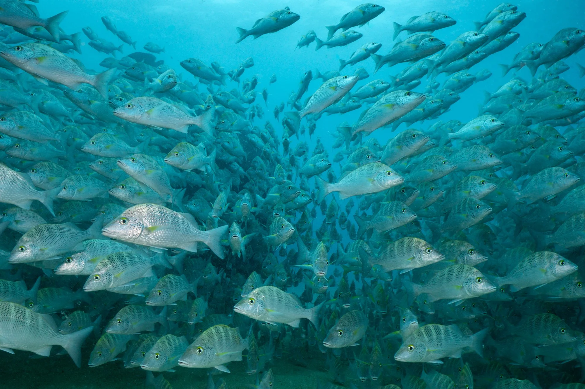 New Website Photos Cynthia Ariosta Into the Wild Imagery-1.jpg