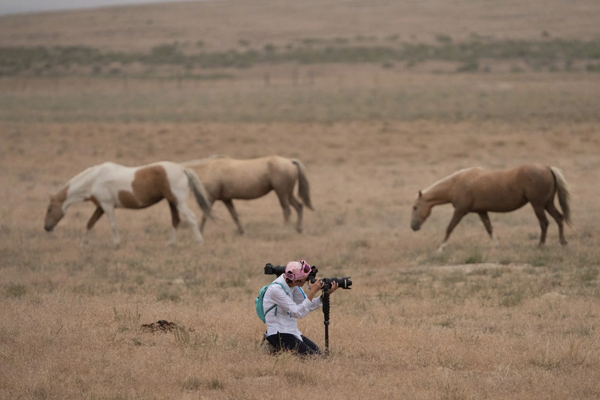 Wildlife Photographer Cynthia Ariosta photographing the Onaqui herd of wild horses in Skull Valley, Utah.  Photograph by Brian Clopp of Winning Shots Photo Tours.