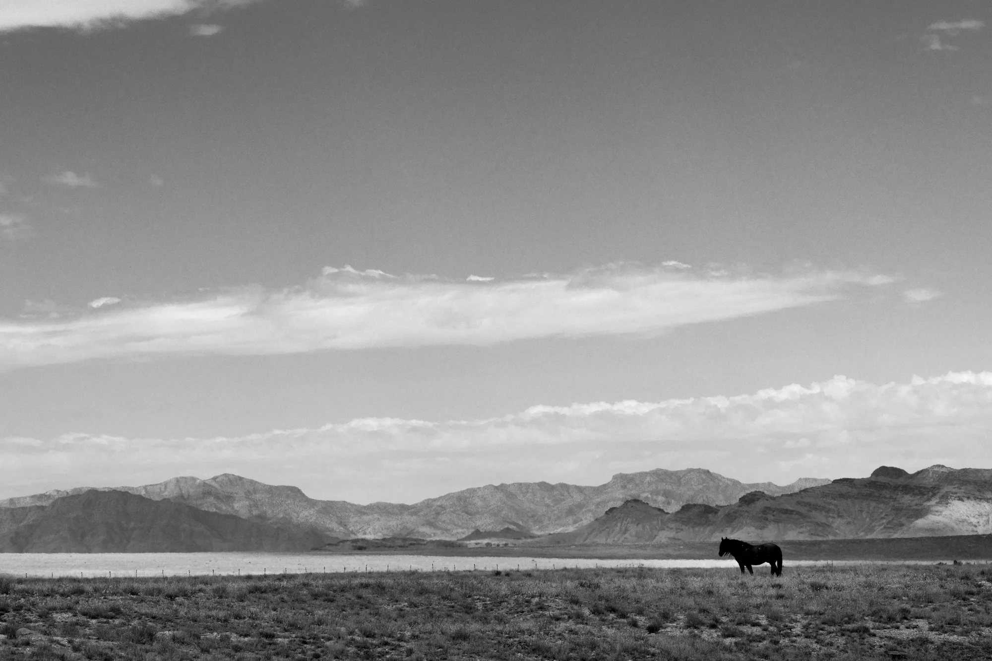 Onaqui_Into The Wild Imagery_Cynthia Ariosta-1.jpg