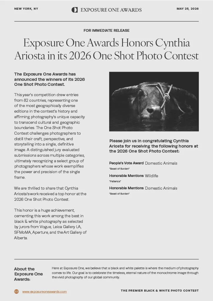 Beast of Burden Exposure One Press Release.jpg