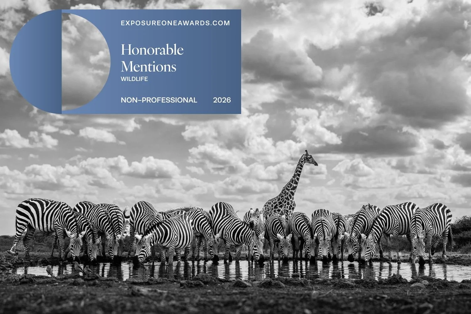honorable-mentions-patience-badge-0.jpg