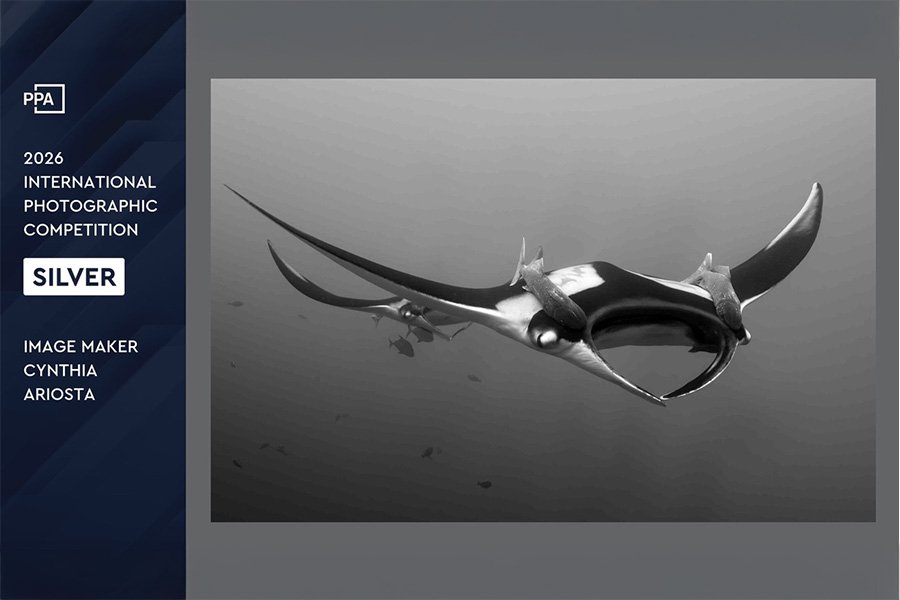 Soaring PPA Silver.jpg