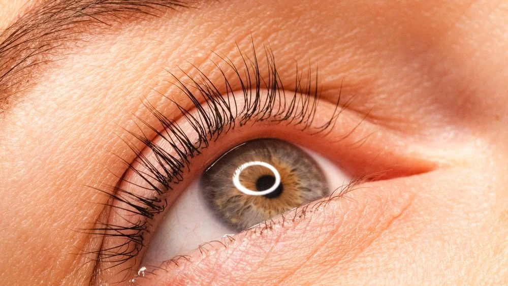 Close-up of a human eye with brown iris and long eyelashes