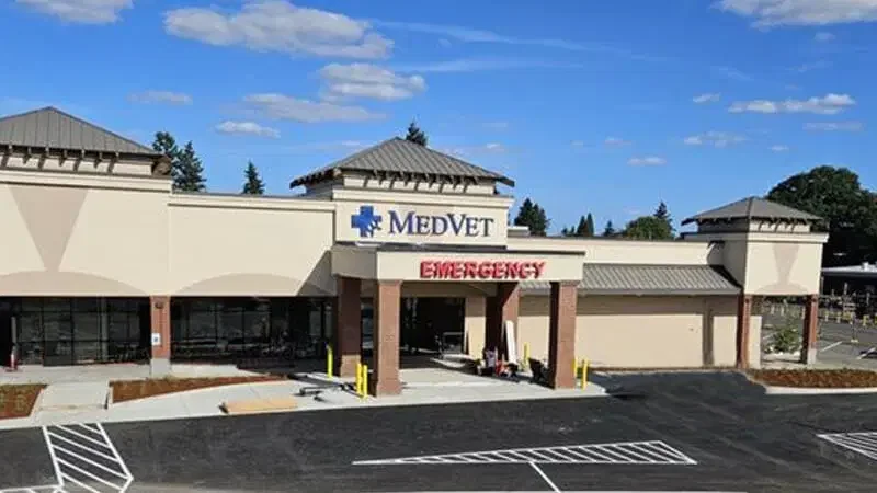 MedVet-Vancouver-800x450-1.webp