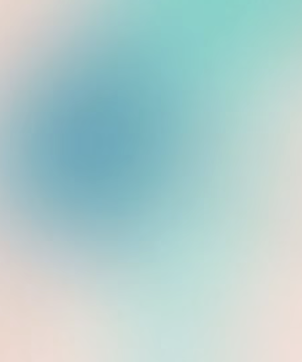 Three-Month Mentorship