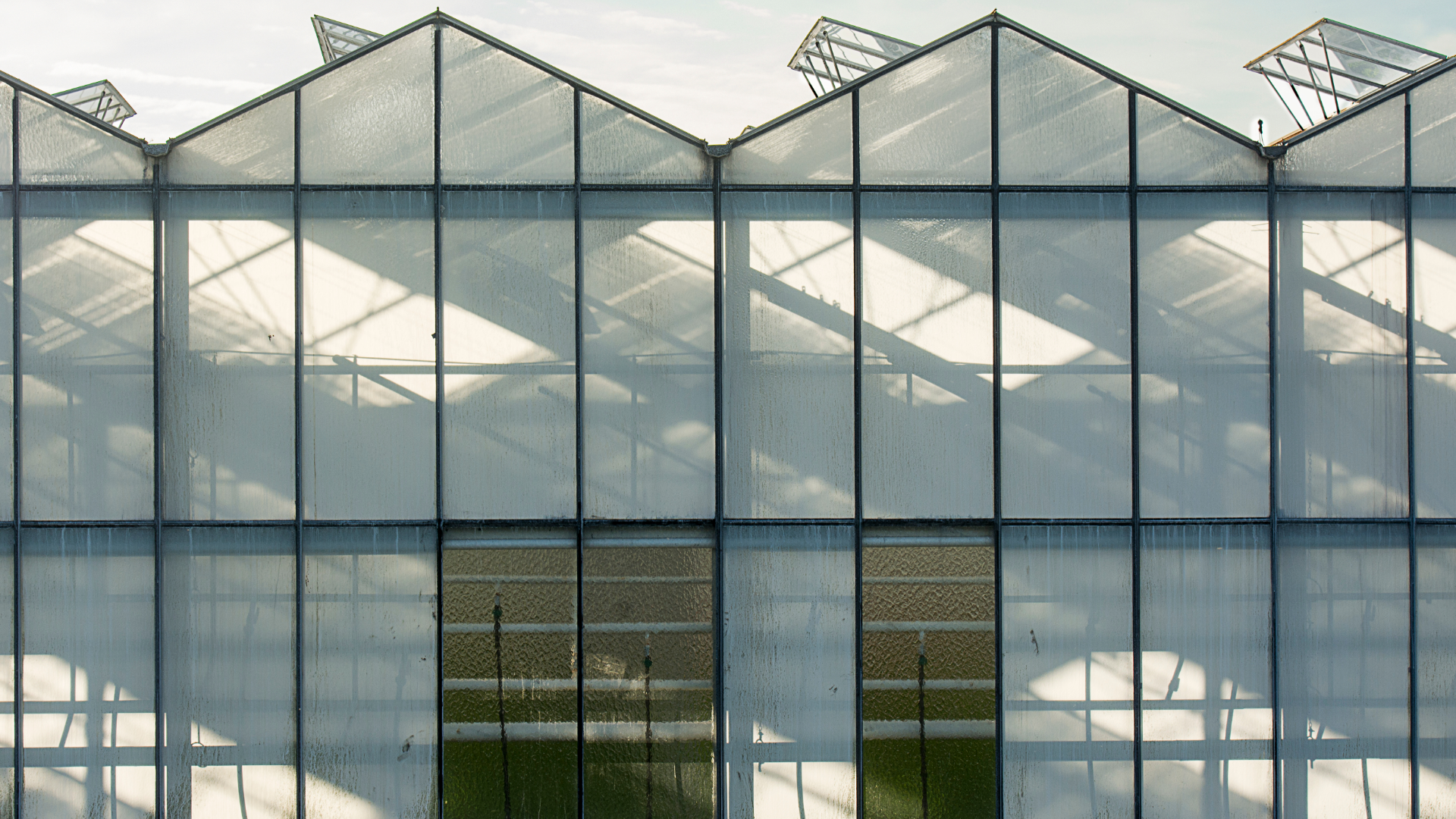 Image of outdoor greenhouse for agricultural farming