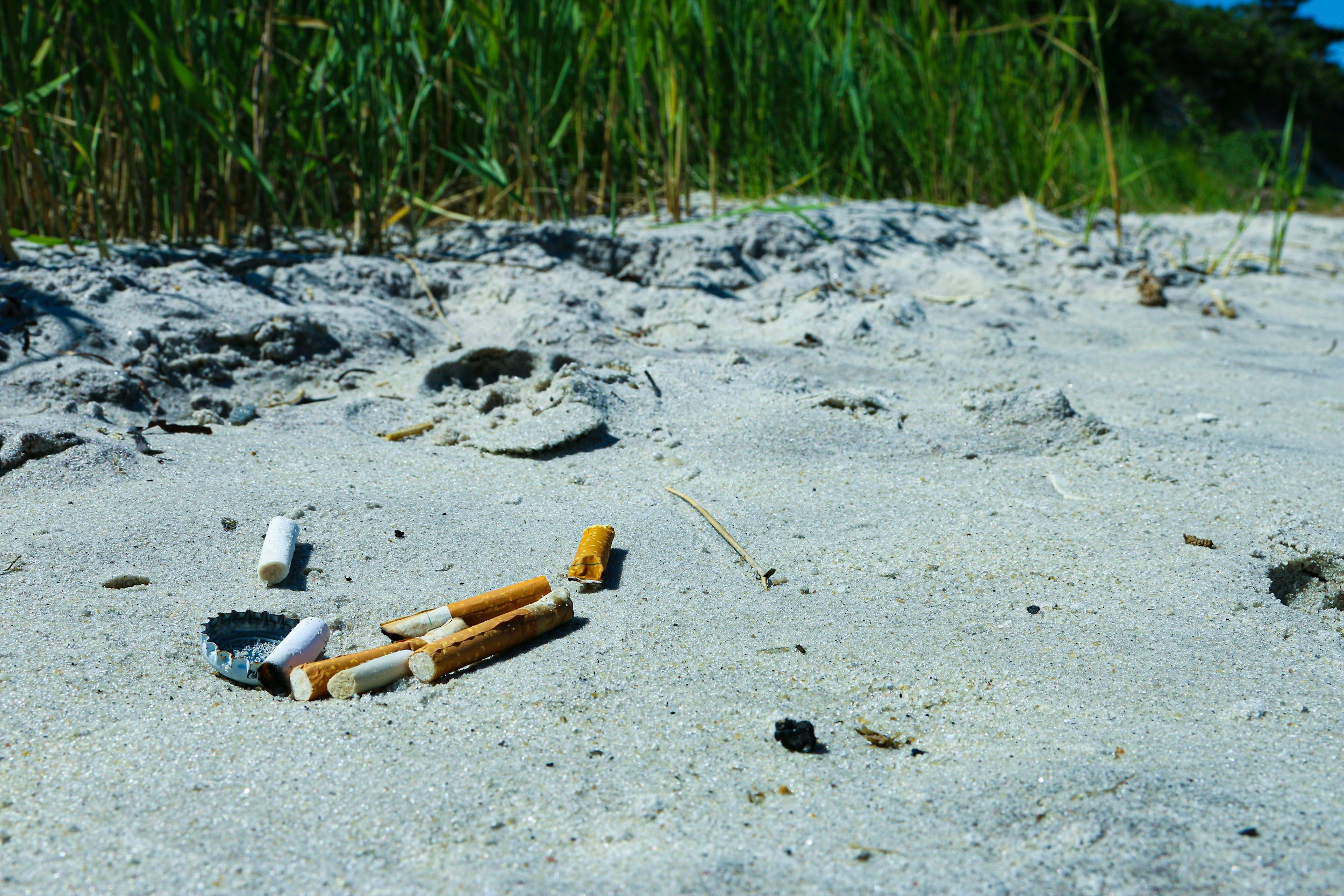 Green Junction - A Familiar Cycle: Industry, Pollution, and Public Health